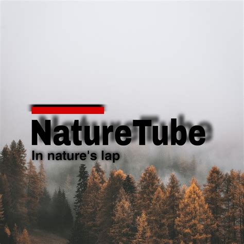 naturetube|Categories